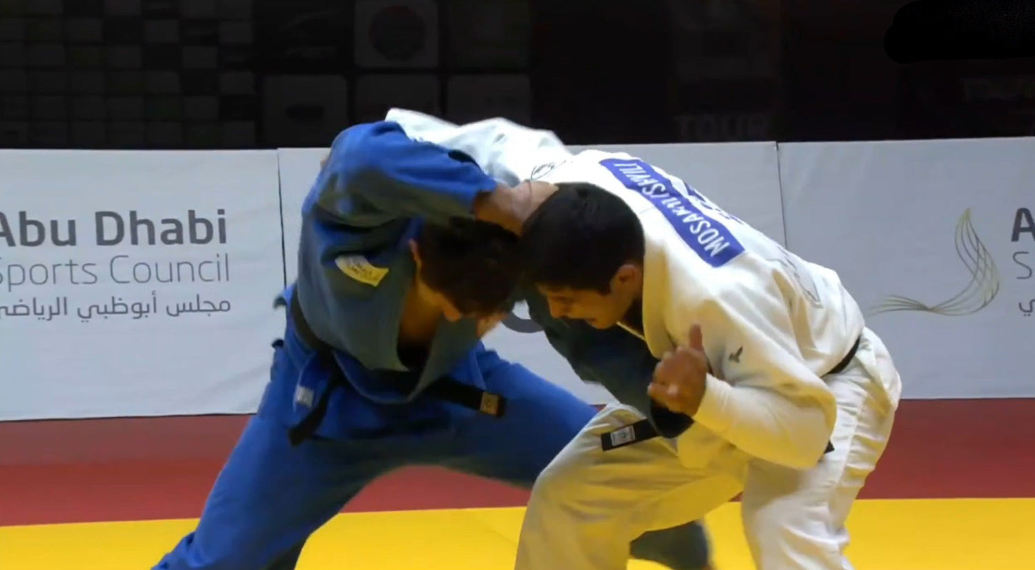 Origins of the Majdov Takedown