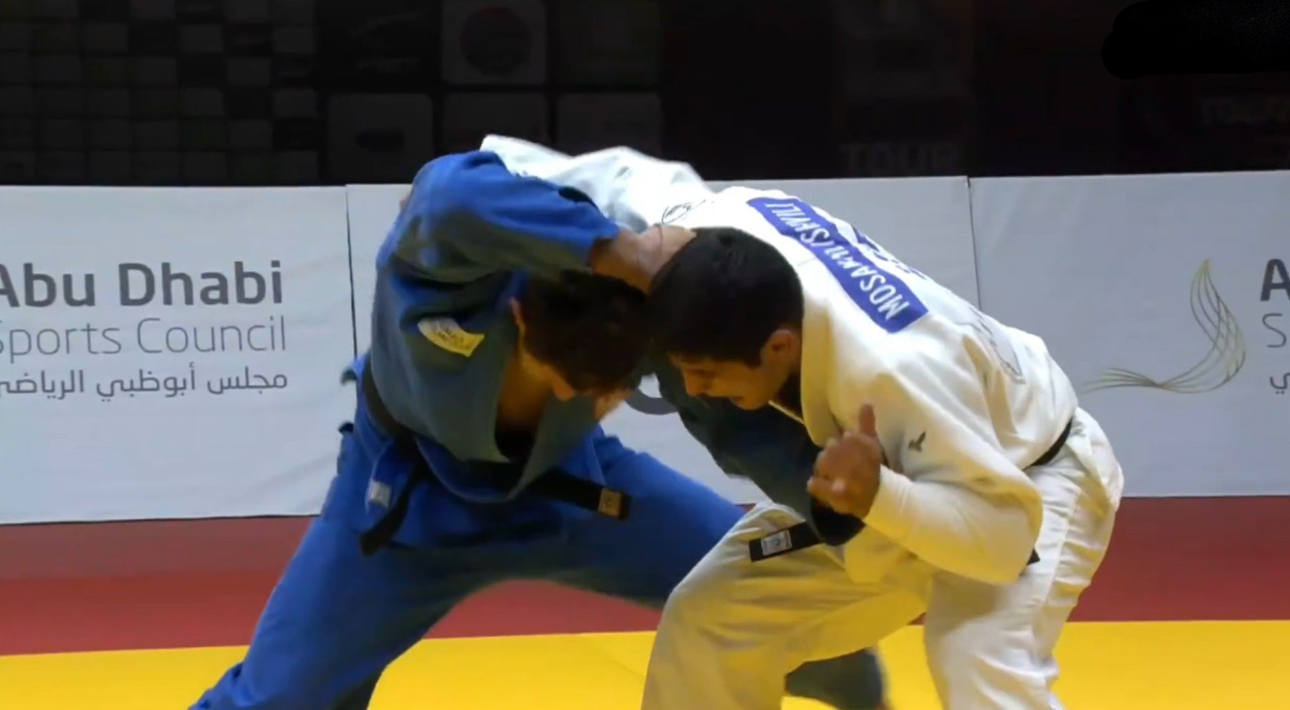 Origins of the Majdov Takedown