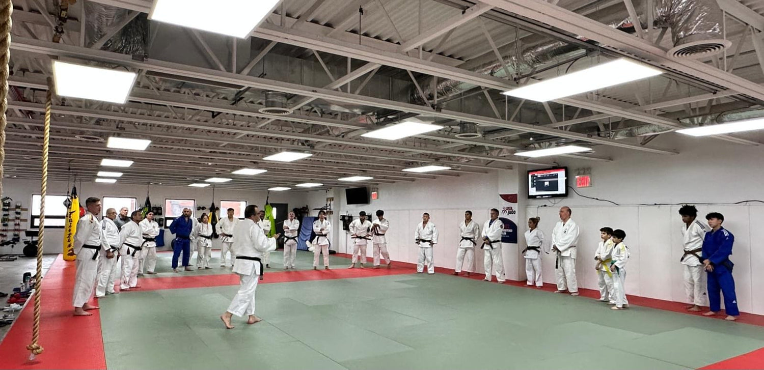 Understanding Judo Rules Through a Different Perspective